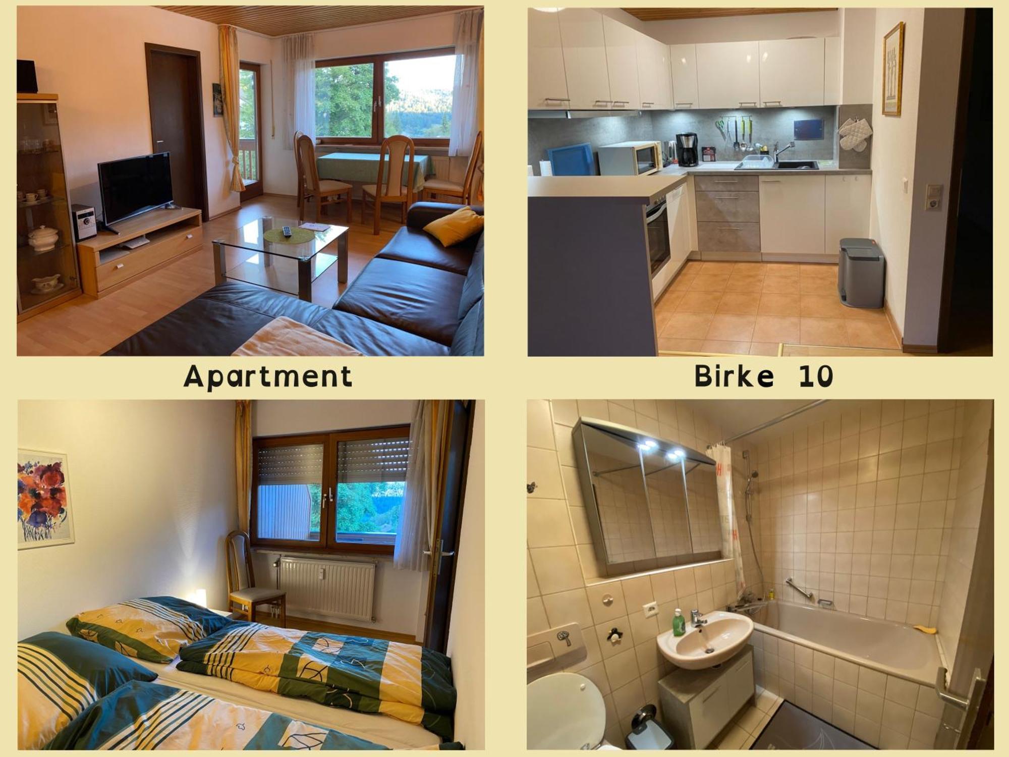 Birke 9, 10 Oder 11 Apartment Todtmoos Ngoại thất bức ảnh