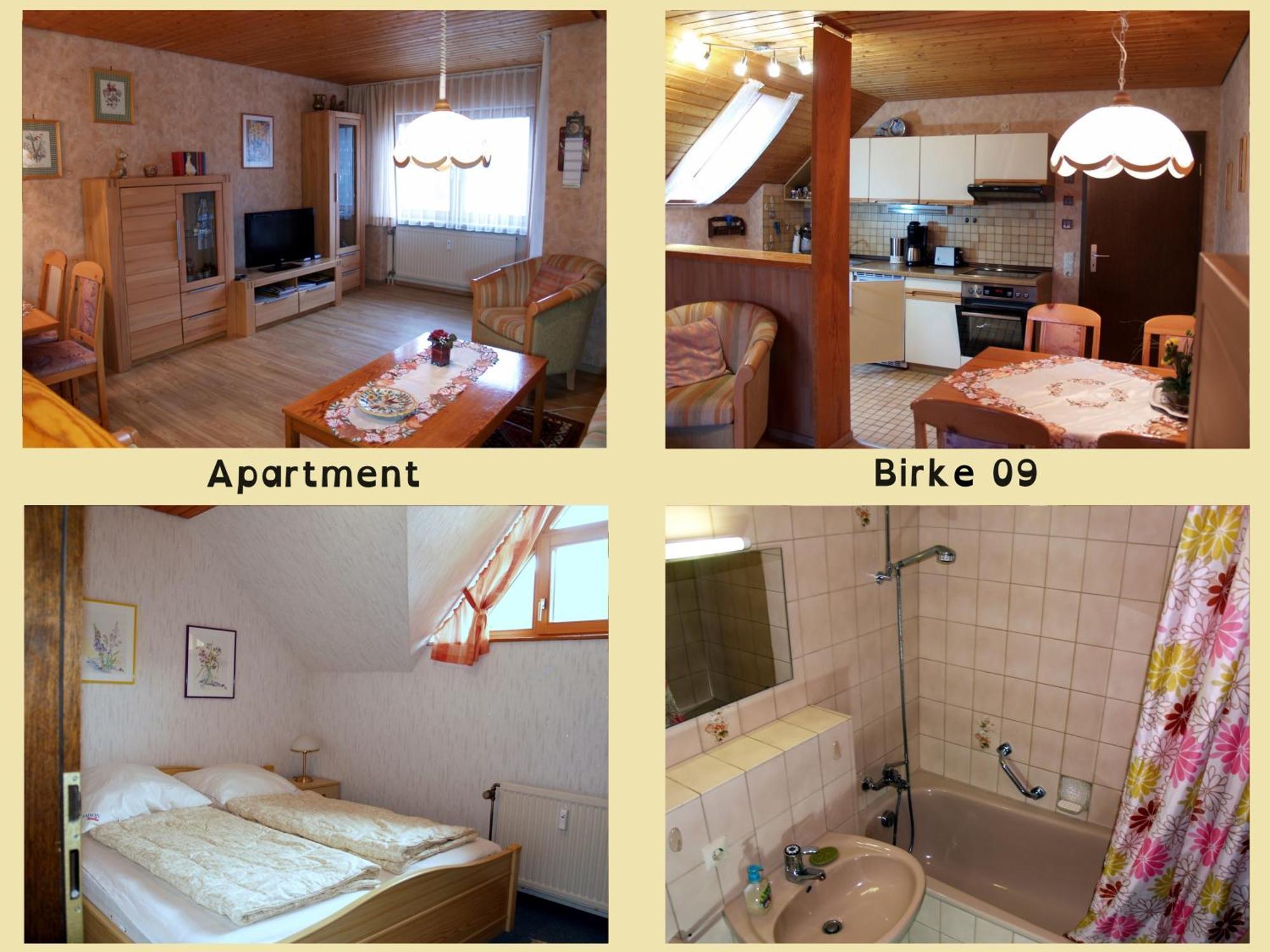 Birke 9, 10 Oder 11 Apartment Todtmoos Ngoại thất bức ảnh